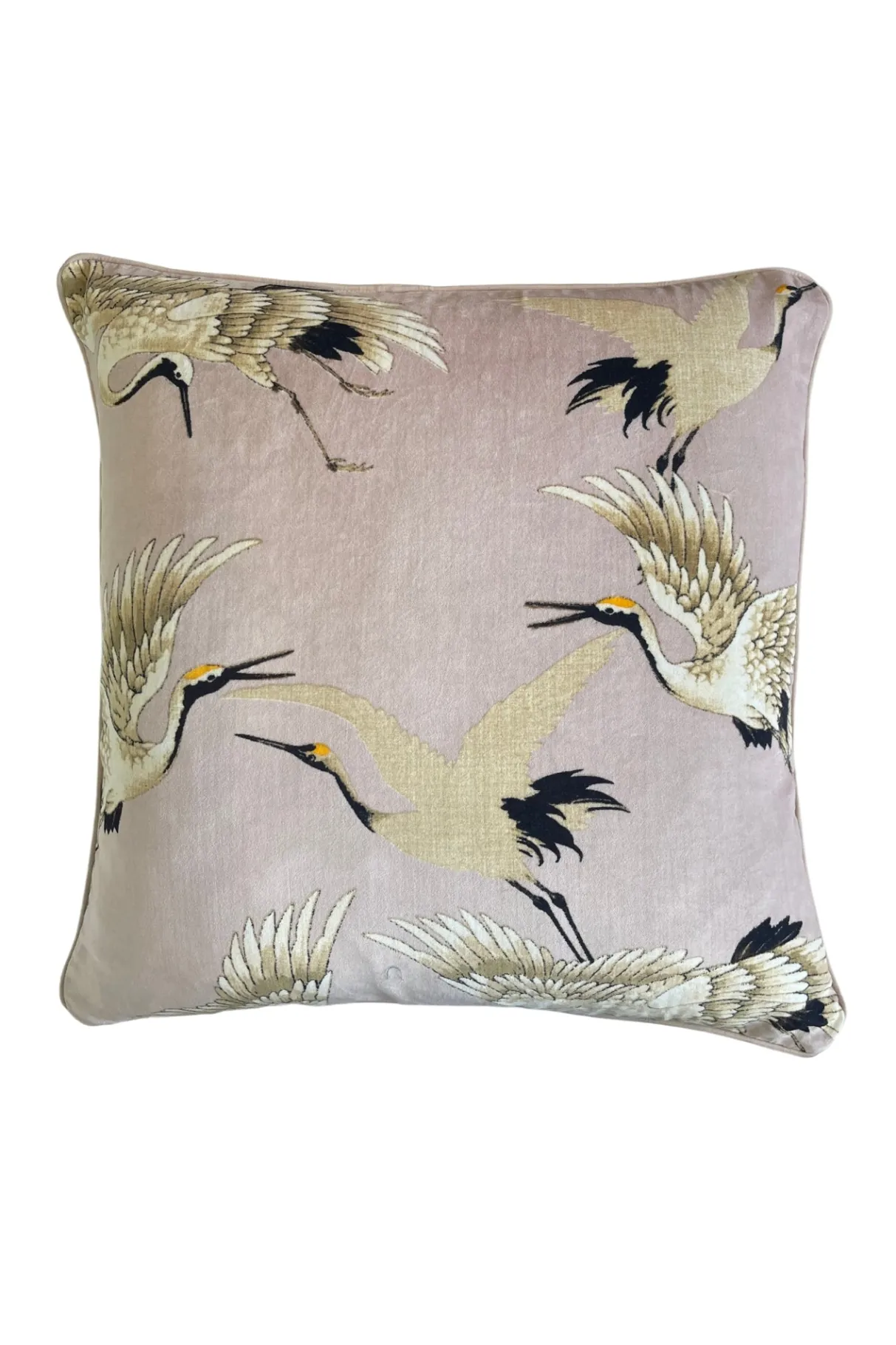 stork_plaster_pink_square_velvet_cushion_0.webp Fashion One Hundred Stars Stork Plaster Pink Square Velvet Cushion